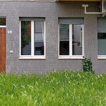 Apartament Il Roseto Di Cremona, Luminoso Monolocale Indipendente Zewnętrze zdjęcie